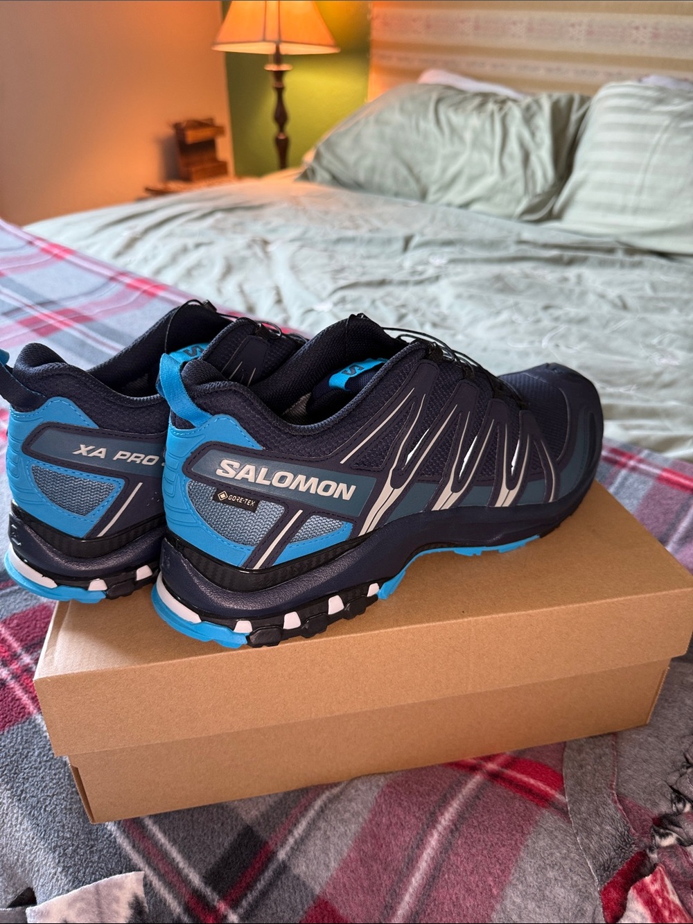 Salomon Men's XA Pro Trail Shoes - Blue and Black
